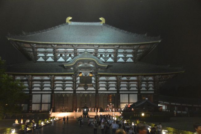 金堂前まで来ました。どうも金堂をライトアップして無料公開していたようです。道中それに気が付いて慌てて行ってみるもついた時間が閉門時間。中には入れなかった。ちょい後悔しましたが、翌日は有料ですが同様に夜間公開しているそうなので翌日改めて行くことに。写真はライトアップ終了後の金堂。外から撮影。