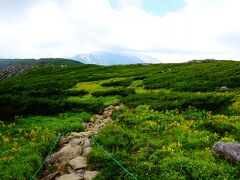 雲ノ平。草原のお花畑や湿原と周囲の山々の風景が素晴らしいといわれる場所ですが、曇っていたのが残念でした。