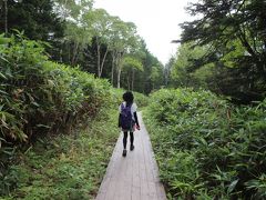 沼山峠バス停前から尾瀬沼へ続く、しっかりと整備された登山道＝写真＝は実に歩きやすかった。