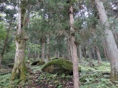 その後、目的地まで500ｍの看板につられて山道を登って五百羅漢へ。。

卯子酉様から歩くのは軽くトレッキングでしたよ。

現地でちゃんと調べてなかったけど、ちなみに、車で行ける場所でした（笑）