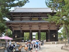半日時間が空いたのでどうしようか思案。前日東大寺を訪れたとき天気が曇りであまりいい写真が撮れなかったのが心残りだったので再びリベンジすることに。多分天気も持ちそうだし。ということでレンタルサイクル返却後近鉄電車とバスを乗り継いで東大寺南大門着。