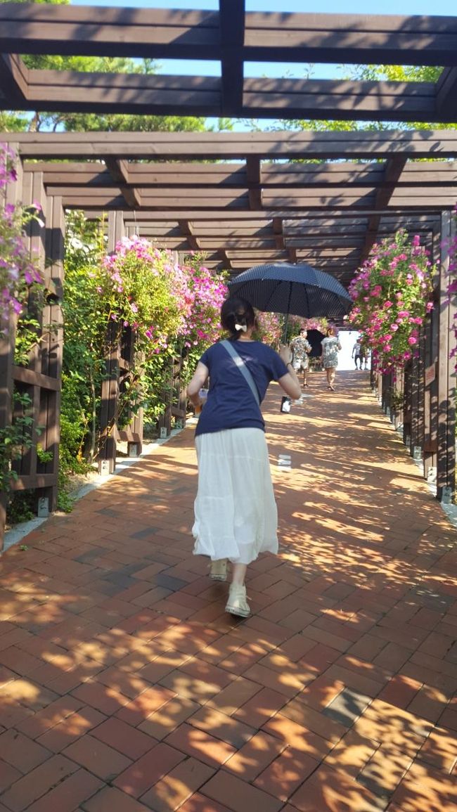 その先にアーチがあります