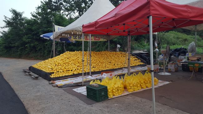 南海観光を終え、統営に向かっている途中に、韓国の夏の風物詩・チャメが山のように売ってました。<br />日本じゃなかなか手に入らない、って言ってたら買ってくれました。<br />袋にどっさり入ってるのが5キロで１万ウォン