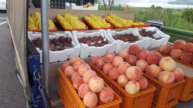 ついでに違うトラック販売で桃も購入。