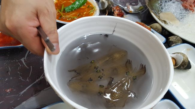 ここで特別に生きたホタルイカを出してくれました！！<br />まさかのホタルイカ踊り食い(*´▽｀*)<br />水とかスミかけられながら、吸い付く感触を楽しみながら食べました