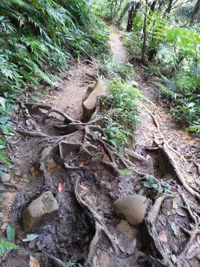 このような道をズンズン進む