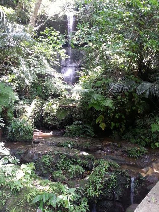 たまに癒させるし、足も冷やせる