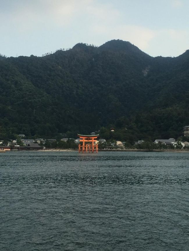 鳥居が見えてきました。