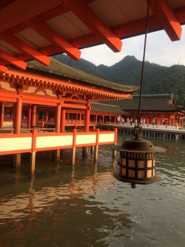 無事、入場。<br /><br />こちらでどうしてもお願いしたいことがあり、しばし祈りました。