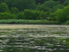 【５日目】
網走湖畔で迎える朝。