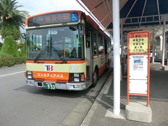 南伊豆フリーパスで行く伊豆な旅 その3 南伊豆を山散歩 海散歩 南伊豆 静岡県 の旅行記 ブログ By オーヤシクタンさん フォートラベル 南伊豆フリーパスで行く伊豆な旅 その3 南伊豆を山散歩 海散歩 南伊豆 静岡県 の旅行記 ブログ By オーヤシクタンさん フォートラベル