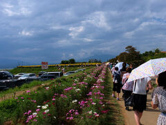 ２時１５分　明野の向日葵畑に到着。
