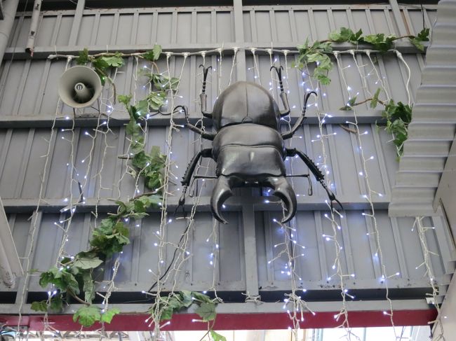 なぜ？くわがた？