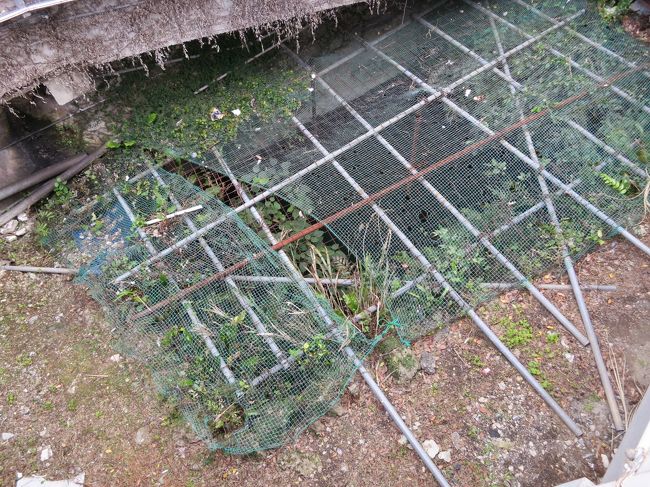 歴史がありそう♪