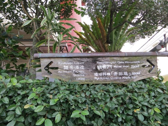 識名酒造に行ってみようと♪