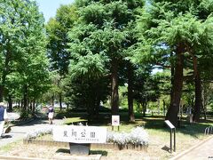 荒川公園 １２：１３頃

荒川公園は、昭和43年(1968）に開園。

木陰で休む人はいますが、空いています。
こんな暑い日に、歩きまわるのは如何なものでしょうか（笑）。