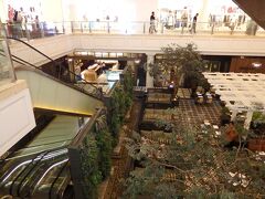 ■□■□■８月１０日(火)：２日目
□■□■□グランド・インドネシア[ショッピングモール]

コタ地区に行く前にショッピングモールに寄り道(*^^)v

このグランド・インドネシアと道路を挟んであるプラザ・インドネシアに行くつもりだったんだけど、このグランド・インドネシアだけでも広い広い（ビックリ）。
このモール内だけでも「SEIBU」「CENTRAL」の2つのデパートがあるもんねぇ…

で、2つのモールをウロウロするのは時間の無駄と判断して、コタ地区に移動。
バス乗り場に戻ろうとしたんだけど、遠い（…暑い）。で、出口に停まってたタクシーに乗車。これが正解で、涼しいし、コタ駅に行くために必然的にコタ地区をグルッと回るんで、観光スポットの確認が出来ちゃった（歓喜）。
料金も安いよね〜。
