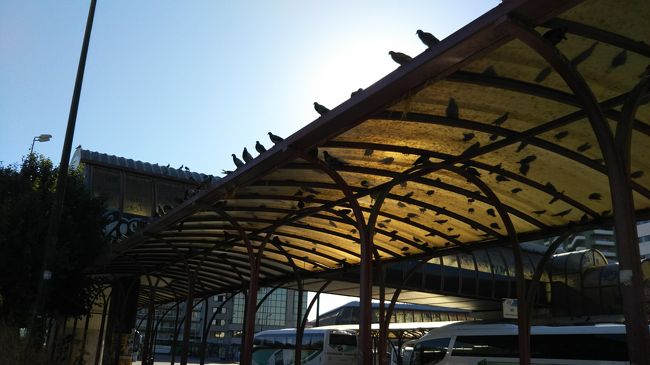 スタジアムでトイレを済ませて、バス停へ。<br /><br />リスボンには、あちこちにハトがいっぱい。<br /><br />観光3日目のハプニング…でっかい生暖かいハトの糞が肩にぼとっと落ちたトラウマで、この下を通過するのが怖い。。。<br /><br />こわごわと駆け足で、この下を通過します。