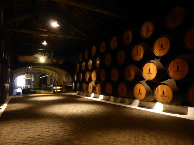 いよいよワインセラー見学へ。