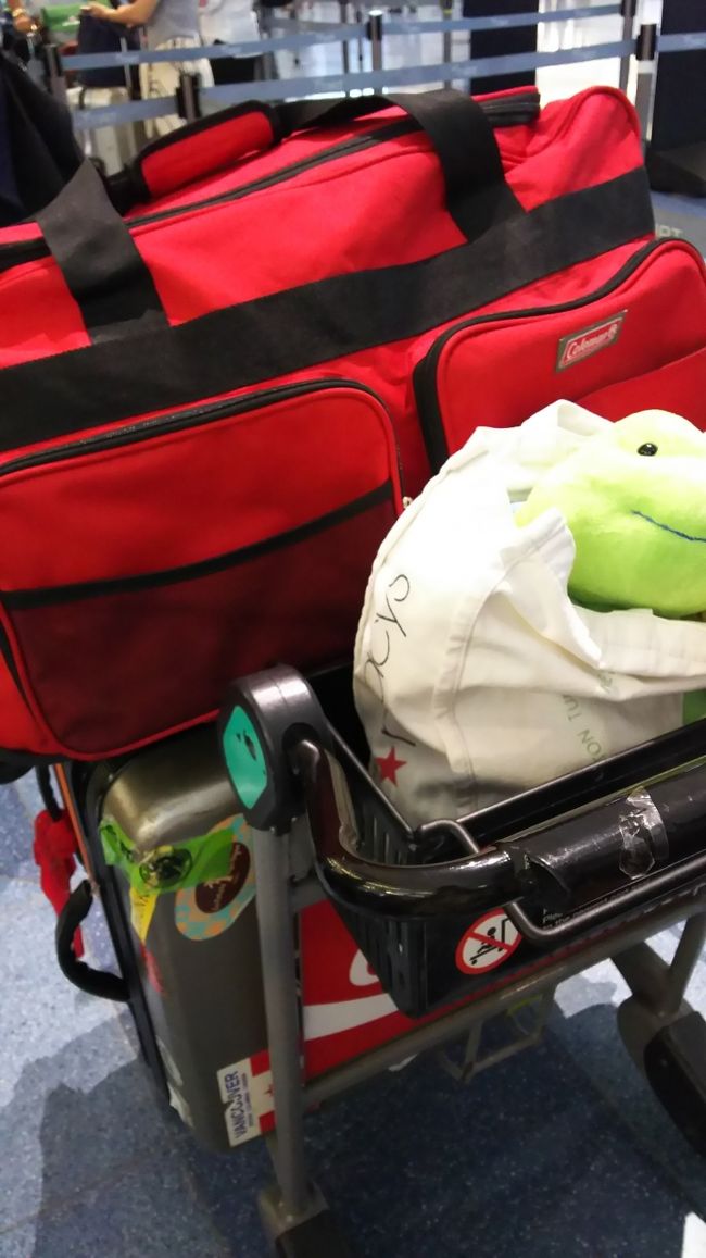 いつも出発当日に荷造りをしていました。何だか3年振りのハワイで…何を持って行っていたのか？忘れちゃって、まぁ荷造りがはかどら無い。バタバタしちゃって余計な物まで持って行ってしまいました(-_-;)<br /><br />(台湾はホテルステイ、ハワイはコンドステイ)