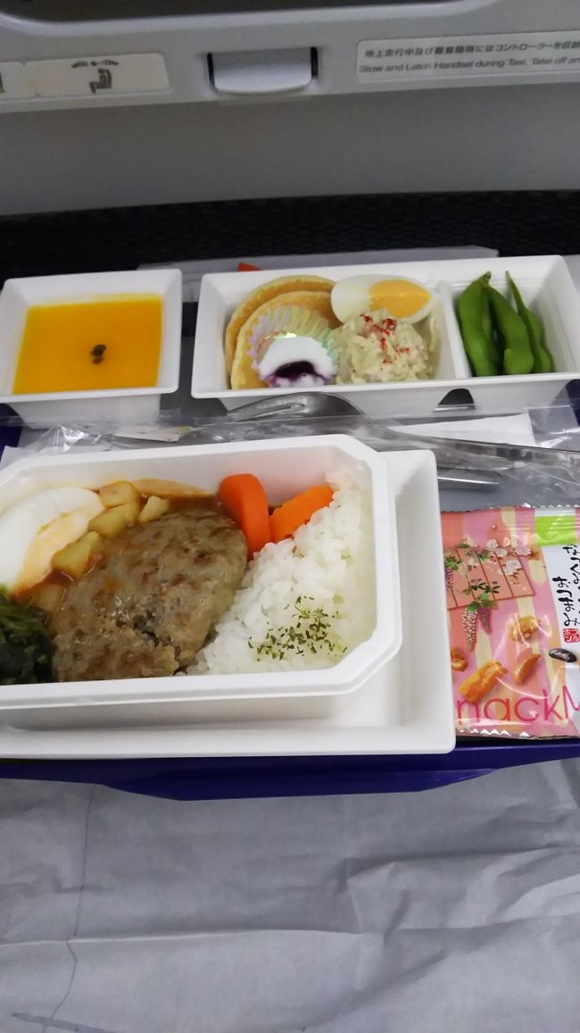 機内食です。ロコモコ風なんちゃら。<br /><br />う〜ん エコノミーなのでねぇ。<br /><br />マンゴームース？は良かった。
