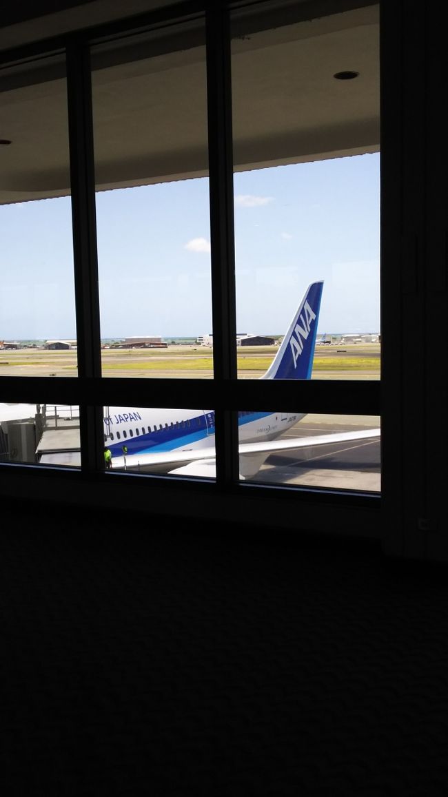 お世話になったNH186便。