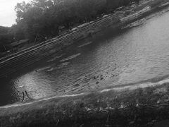 ［アンコールワット］に戻ってきました