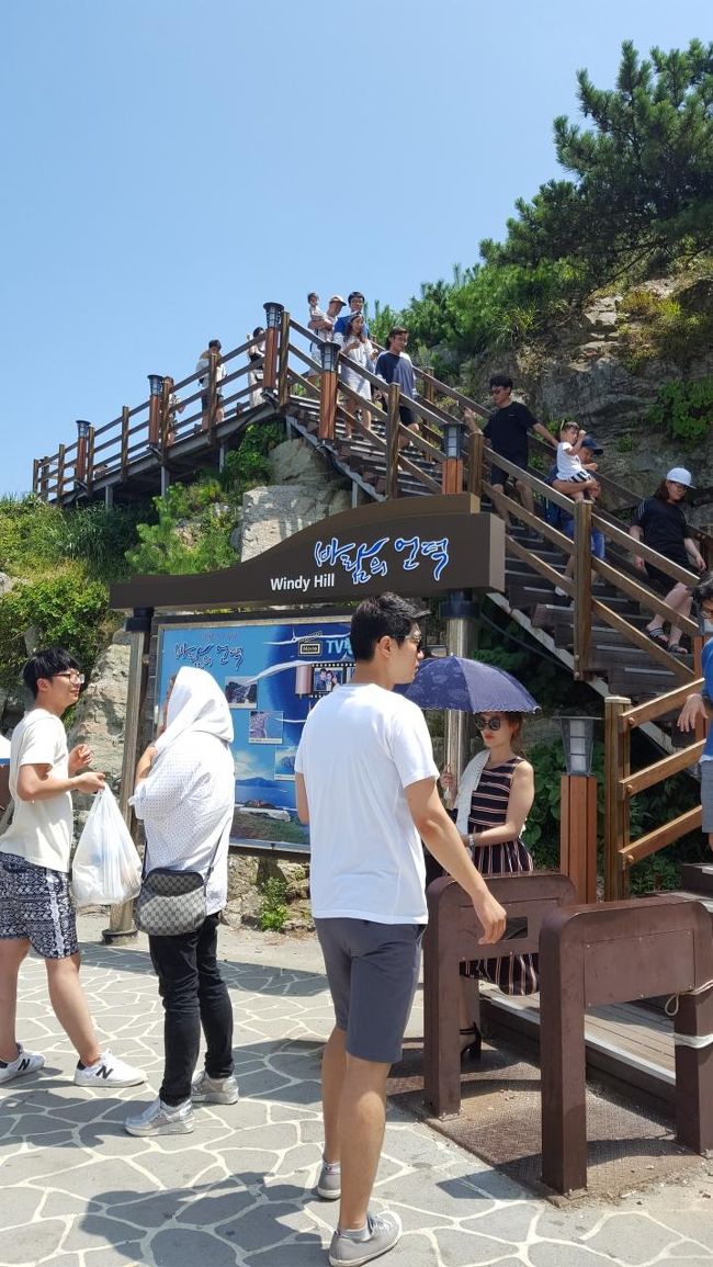 風車を目指して上ります