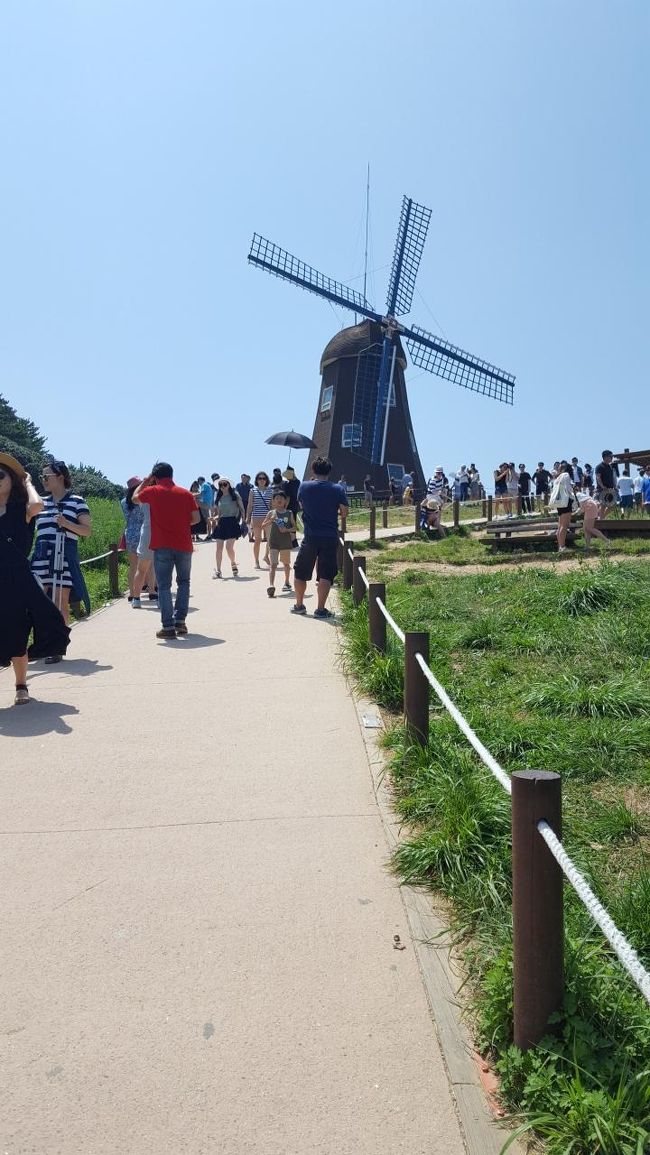 風車の周りがすごい人だかりです。<br />のぼるのも疲れたし、この辺で写真も撮ったし引き返しました。