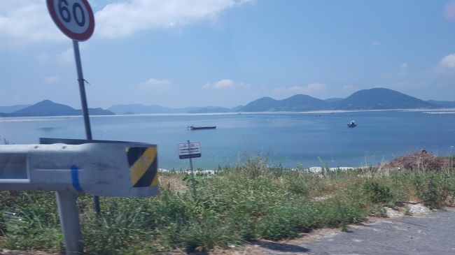 伝わりにくいですが、海の色が違って見えるところに牡蠣やホヤの養殖が張り巡らされていました。<br />すごい面積！これだけあればさすがに安く食べれるかも。