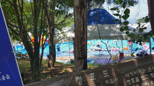 子供用と思われるプールがありました。