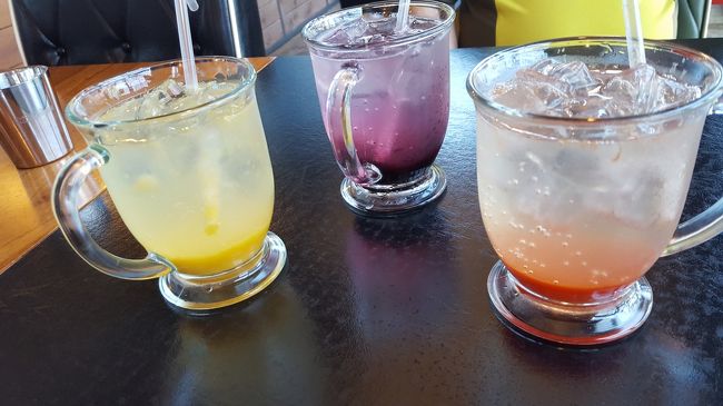 こちらも先生のお知り合いのお店で、エイドをサービスしてくれました！<br />左からレモン、ブルーベリー、グレープフルーツのエイド。<br />これが超さっぱりしてて美味しかったーーー！<br />普通にカフェとして利用したい(笑)