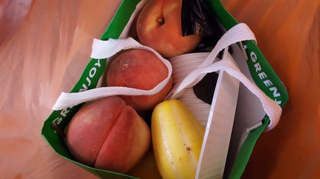 バスセンターに送ってもらって、ここで先生とはお別れ。<br />昨日買ってもらった桃とチャメをホテルで食べろと持たせてくれました。<br />最後までありがとうございます！！