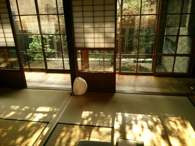 帰宅<br /><br />夕暮れに見えますが、<br /><br />９時の朝食の時間にはこっそり帰宅