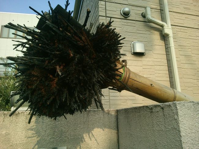 目的地途中の奈良町の一角 <br /><br />これは…あれか？<br /><br />１度も生で見たことがないので判明せず