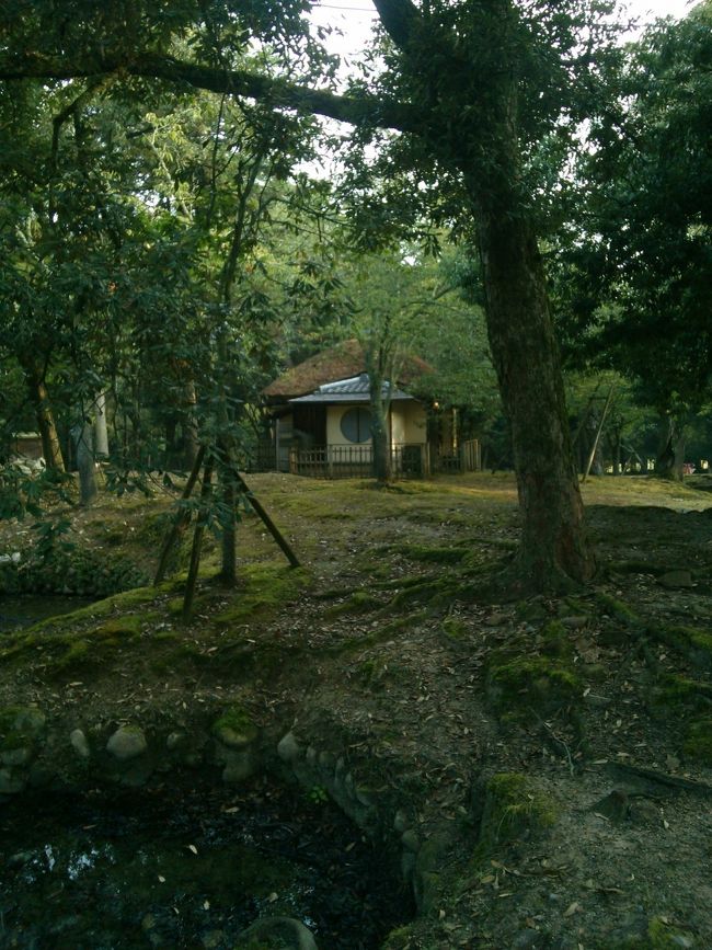 あんなにワラワラといる○○が…<br /><br />別の場所にいるのか…<br /><br />普段は滅多に見れない光景で得したかな？