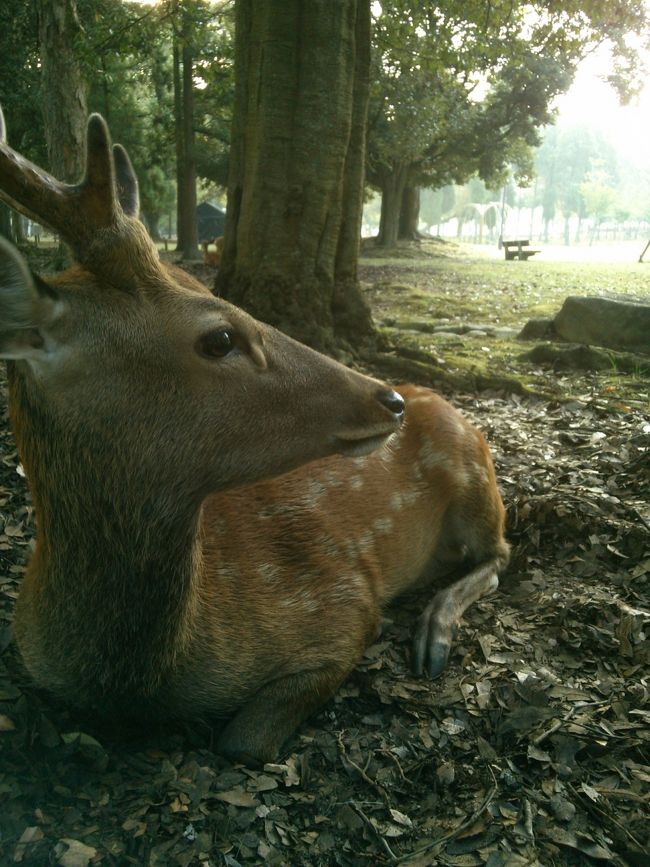 発見<br /><br /><br /><br />スッカリ日も昇り、落ち着いている様子<br /><br />
