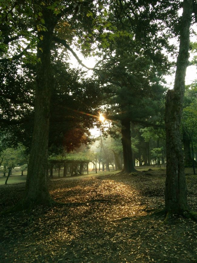 いつもいる○○がいない<br /><br />しかし、<br />根拠のない<br /><br />恐らく大当たりな予感(笑)