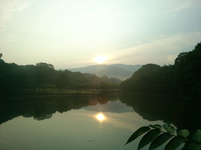 あー<br /><br />もうちょい<br />早よ出たら良かったなあ