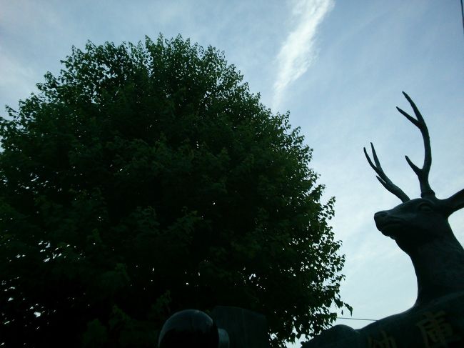 しかし本当に行きたいところにはまだまだ<br /><br />急ぎますで<br /><br />(こちらは春日大社ではなく、ならまち)