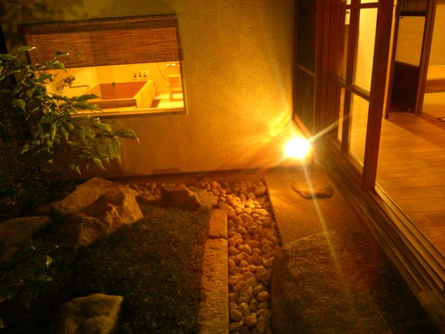 最近の暑さは湿度も伴い<br />アマゾン付近はこんな感じなのかと、思うほど