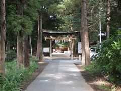 中山神社　長い参道は交通量の多い県道に分断されています。一の鳥居は県道の信号を渡った先。
氷川神社と氷川女体神社を結ぶ直線の真ん中にあり、「中氷川神社」と呼ばれていましたが。明治に入って中山神社と改称しました。
鳥居には「氷川神社」の扁額がかかっています。