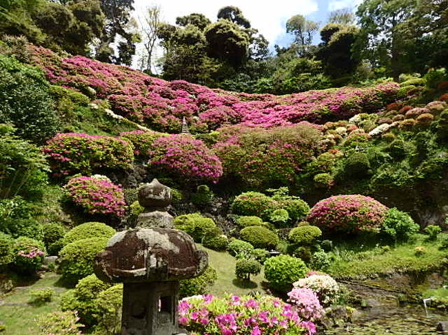 春の鎌倉 花散策 別願寺と仏行寺 美食は かかん と Pompon Cakes Blvd 鎌倉 神奈川県 の旅行記 ブログ By 旅遊de道楽さん フォートラベル 春の鎌倉 花散策 別願寺と仏行寺 美食は かかん と Pompon Cakes Blvd 鎌倉 神奈川県 の旅行記 ブログ By 旅遊de道楽さん フォートラベル