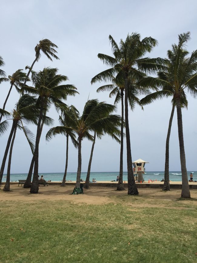 あっと言う間に？到着。<br />じゃなくて、…<br />3ヶ月前に来たから、細かい写真を今回撮ってなかったのです。すみません！