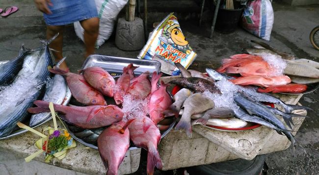 その店のシステム<br />どの魚でも１匹100000Rp（約800円）<br />で、料理方法はバカール　そうです！イカンバカール<br /><br />サラダ（これがなかなか捨てたもんでなかった）<br />サンバルマタ　ご飯２人前　フルーツ盛りがセットなので<br />１人50000Rpで腹いっぱい　<br />ビールは隣のよろず屋で購入　小瓶18000Rp<br /><br />