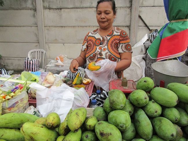 しようがないね・・・