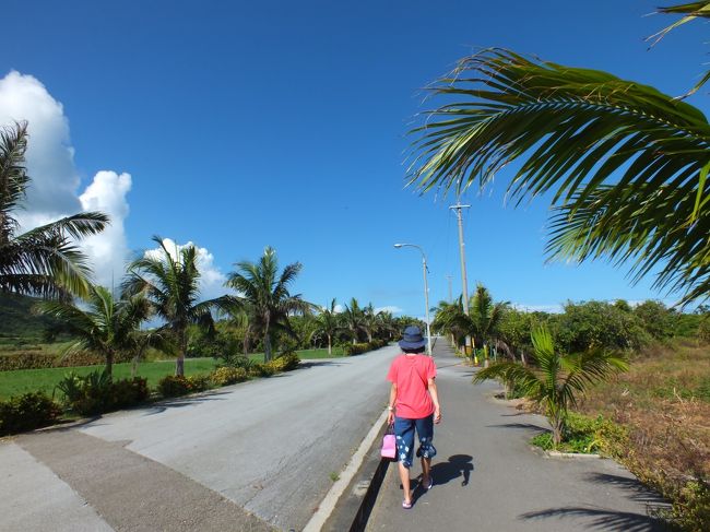 朝ごはんを食べて、ひと眠りせずすぐに出かけます。<br />宿のオーナーがオススメの絶景の高台へ。車か自転車推奨でしたが、歩きます。