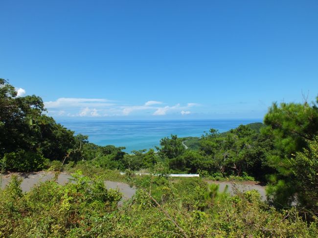 だいぶ上まで登ってきました。<br />この海は東シナ海です。