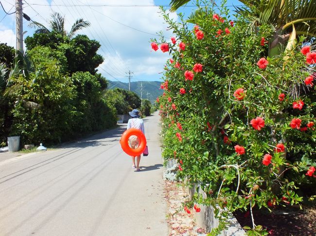 ひと眠りしてから、昨日と同じ海へ向かいます。<br />明石海岸から少し北寄りのビーチです。