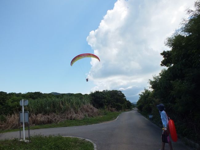 近くのパラグライダー体験サービスの施設から、飛んでいました。